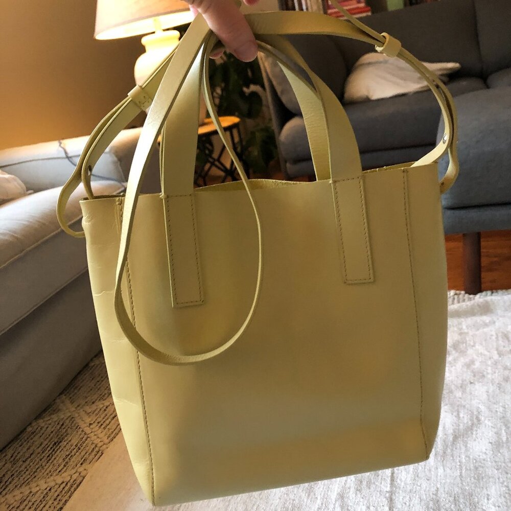 Everlane Mini Magazine Tote